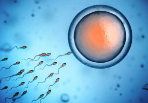 baixa contagem de espermatozóides, levando a infertilidade